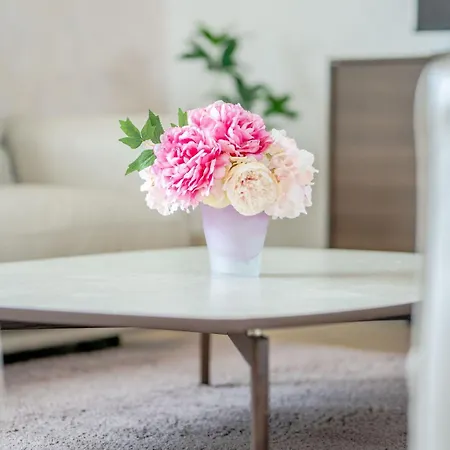 Luxury Penthouse Sky & Jacuzzi-Olivia Medugorje *